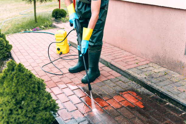 Best Pressure Washing Services Near Me  in Brownsville, FL